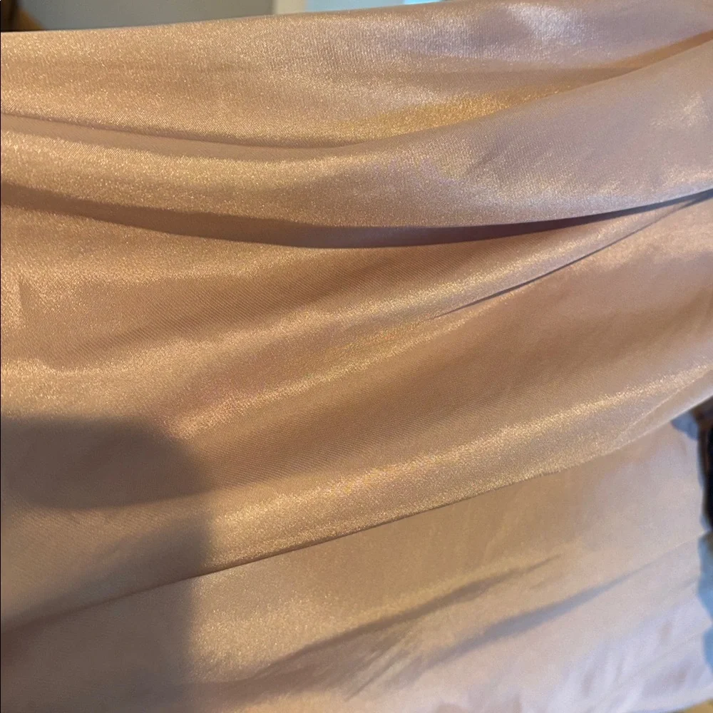 BCBGMaxAzria gorgeous gown